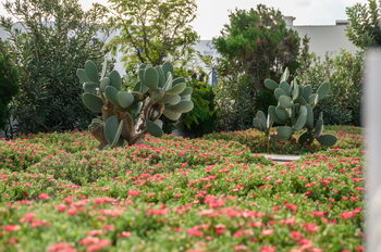 Accommodation Studios in Naxos Island Greece