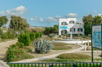 Accommodation Studios in Naxos Island Greece