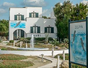 Naxos Accommodation Studios Dolphin